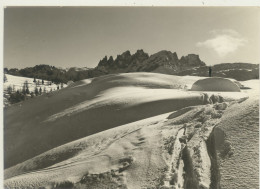 PASSO S.PELLEGRINO -BELLUNO -TRE CIME DI FOCOBON - Belluno