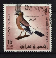 Irak 1968 Bird  Y.T. 489 (0) - Iraq