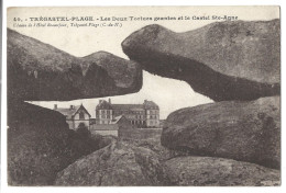 22  Tregastel Plage -  Les Deux Tortues Geantes  Et Le Castel Sante Anne - Trégastel