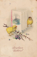 Sretan Uskrs , Happy Easter ,Chicks , Goat Willow 1928 - Ostern