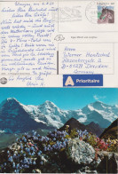 AK  "Eiger Mönch Jungfrau"  Wengen - Dresden         1994 - Storia Postale