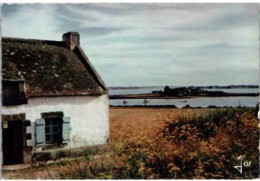 GOLFE Du MORBIHAN. -  La Maison Du Pécheur.     -  Non Circulée. - Sonstige & Ohne Zuordnung