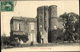 CPA Montauban Tarn Et Garonne, Chateau De Capoue - Otros & Sin Clasificación