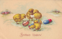Sretan Uskrs Happy Easter Chicks Accordion Drums Music Ed Amag - Pasqua