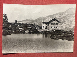 Cartolina - Madonna Di Campiglio - Dolomiti Di Brenta - Pradalago - 1950 Ca. - Trento