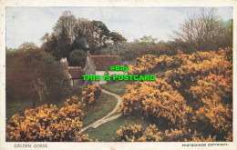 R621269 Golden Gorse. Photochrom. Autochrome Studies Direct From Nature. Photoch - Welt