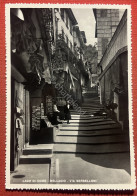 Cartolina - Lago Di Como - Bellagio - Via Serbelloni - 1956 - Como