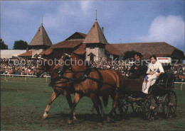 11701892 Saignelegier Marche Concour National De Chevaux Pferdewagenrennen Saign - Otros & Sin Clasificación