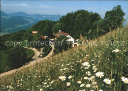 11701812 Wisen Blaukreuz Ferienheim Hupp Wisen - Other & Unclassified