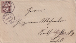 1888 Schweiz Kleinbrief 8,5 X15 Cm, Zum:CH 60A, Mi:CH: 52x Ziffermuster ⵙ DORNACH 20.Vll.88 - Cartas & Documentos