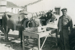 50s REAL ORIGINAL AMATEUR PHOTO FOTO BULLOCK CART CARRO DE BOIS JUNTA PORTUGAL AT125 - Lugares