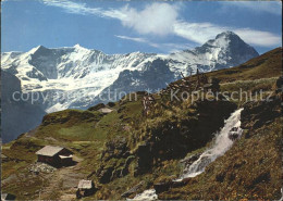 11701564 Grindelwald First Mit Bachlaeger Fiescherhorn Und Eiger Grindelwald - Otros & Sin Clasificación