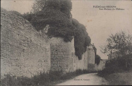 FLEAC Sur Seudre Les Ruines Du Vie Château - Sonstige & Ohne Zuordnung