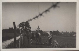 FLEAC Photo Carte Labour D'un Champ Avec Un Brabant Tiré Par Deux Chevaux - Sonstige & Ohne Zuordnung