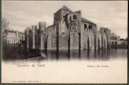 BELGIQUE + GENT / GAND - Château Des Comtes - Gent