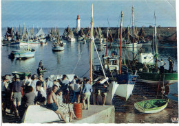 CPM FRANCE 17 CHARENTE-MARITIME ILE D'OLERON - Le Port De La Cotinière - Ile D'Oléron