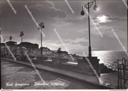 Af866 Cartolina Rodi Garganico Belvedere Notturno Provincia Di Foggia Puglia - Foggia