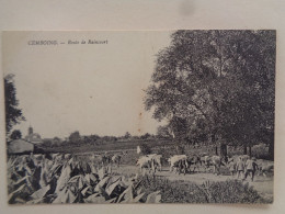 70 - Haute Saone - Cemboing - Route De Raincourt - Troupeau - Retour Des Champs - Champ De Tabac ??? - Réf.77B - - Otros & Sin Clasificación