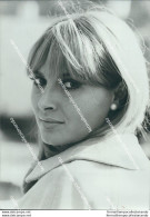 Fo2416 Foto Originale L'attrice Actress Valerie Lagrange Film Star Movie - Other & Unclassified