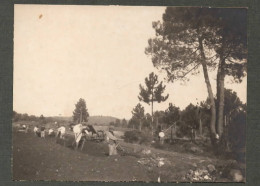 PHOTO RICHARD CANNES C.1910 - 8x10cm Collée Sur Carton Carrière De Mougins ? - Places