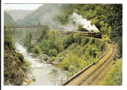 07 - Ligne TOURNON - LAMASTRE - Les Gorges Du Doux - Chemin De Fer Du Vivarais - Train Vapeur - Tournon