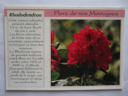 FLORE DE NOS MONTAGNES LE RHODODENDRON - Arbres