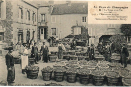 REUIL  -  51  -  Au Pays Du Champagne - L'Arrivée Des Raisins Dans Un Vendangeoir - Vignes