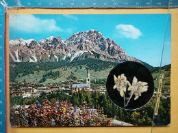 KOV 421-40 - ITALIA, ITALY, CORTINA, FLOWER, FLEUR EDELLWEISS - Andere & Zonder Classificatie