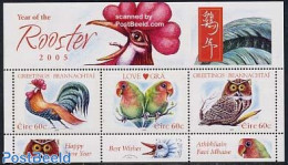 Ireland 2005 Year Of The Rooster S/s, Mint NH, Nature - Various - Birds - Owls - Parrots - Poultry - Greetings & Wishi.. - Nuovi