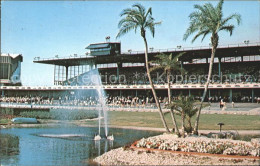 11700648 Saint_Petersburg_Florida Derby Lane Home Of World Champion Greyhounds - Other & Unclassified