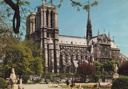 75, Paris, Notre Dame Et Le Square Viviani - Notre Dame De Paris