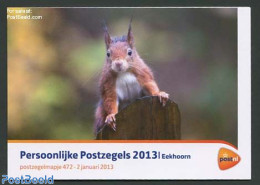 Netherlands 2013 Squirrel Presentation Pack 472, Mint NH, Nature - Animals (others & Mixed) - Nuovi