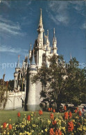 11699228 Disney_World Cinderella Castle  - Autres & Non Classés