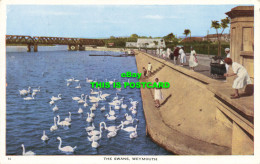 R621336 52. Swans. Weymouth - Monde