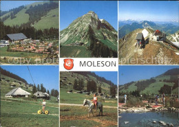 11698632 Moleson-sur-Gruyeres La Renardiere Plan Francey L'Observatoire Animatio - Altri & Non Classificati