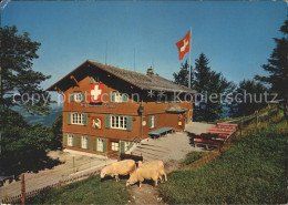 11698604 Steg Toesstal Berggasthaus Hoernli Kulm Steg Toesstal - Other & Unclassified