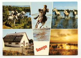 En Camargue Avec Les Gardians - Andere & Zonder Classificatie