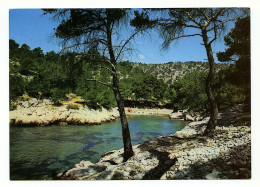 CASSIS-SUR-MER - Calanque De Port-Pin - Cassis