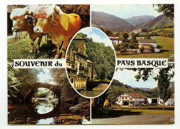 Souvenir Du PAYS BASQUE - Autres & Non Classés