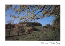 70 Haute Saone Cerisiers En Fleurs Photo De Marc Paygnard  N° 34 \ML4002 - Gray