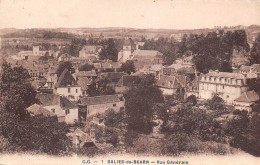 64 Salies-de-Béarn Vue Panoramique Générale    N° 45 \ML4002 - Salies De Bearn