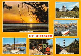 17 ÎLE D' OLERON Multivue édition Artaud    N° 5 \ML4004 - Ile D'Oléron