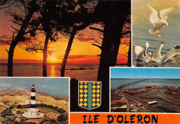 17  ÎLE D' OLERON Multivue    N° 19 \ML4004 - Ile D'Oléron