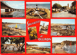 17  ÎLE D' OLERON Souvenir  Multivue    N° 24 \ML4004 - Ile D'Oléron