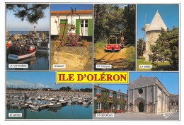 17  ÎLE D' OLERON Divers Aspects Multivue  N° 45 \ML4004 - Ile D'Oléron