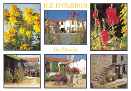 17  ÎLE D' OLERON Mimosas Et Roses Trémières  N° 46 \ML4004 - Ile D'Oléron