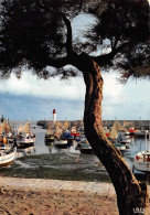 17 ÎLE D' OLERON  Le Port De La Cotinière   N° 1 \ML4005 - Ile D'Oléron