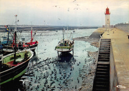 17 ÎLE D' OLERON  Le Port De La Cotinière à Marée Basse   N° 7 \ML4005 - Ile D'Oléron