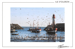 17 ÎLE D' OLERON  Le Port De La Cotinière Et Ses Mouettes   N° 18 \ML4005 - Ile D'Oléron