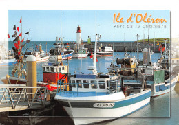 17 ÎLE D' OLERON  Le Port De La Cotinière Et Ses Chalutiers  N° 19 \ML4005 - Ile D'Oléron